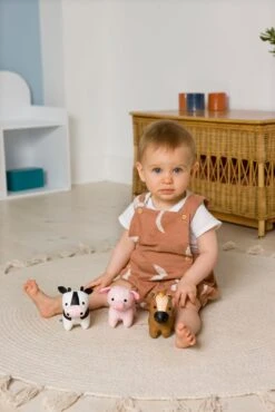 Little Big Friends Little Big Friends - Farm Collection Tiny Friends Rattle Toy - Horse -Push Chair Expert Sales 303082 6 scaled 93565d8a 9ebf 47bf 9347 52a96659a621