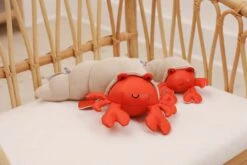 Little Big Friends Little Big Friends: Sea Collection Pull-String Musical Animal Toy - Brigette The Hermit Crab -Push Chair Expert Sales 303884 5 1 scaled 1