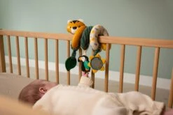 Little Big Friends Little Big Friends Activity Pram Spiral - Jungle -Push Chair Expert Sales 304775 5