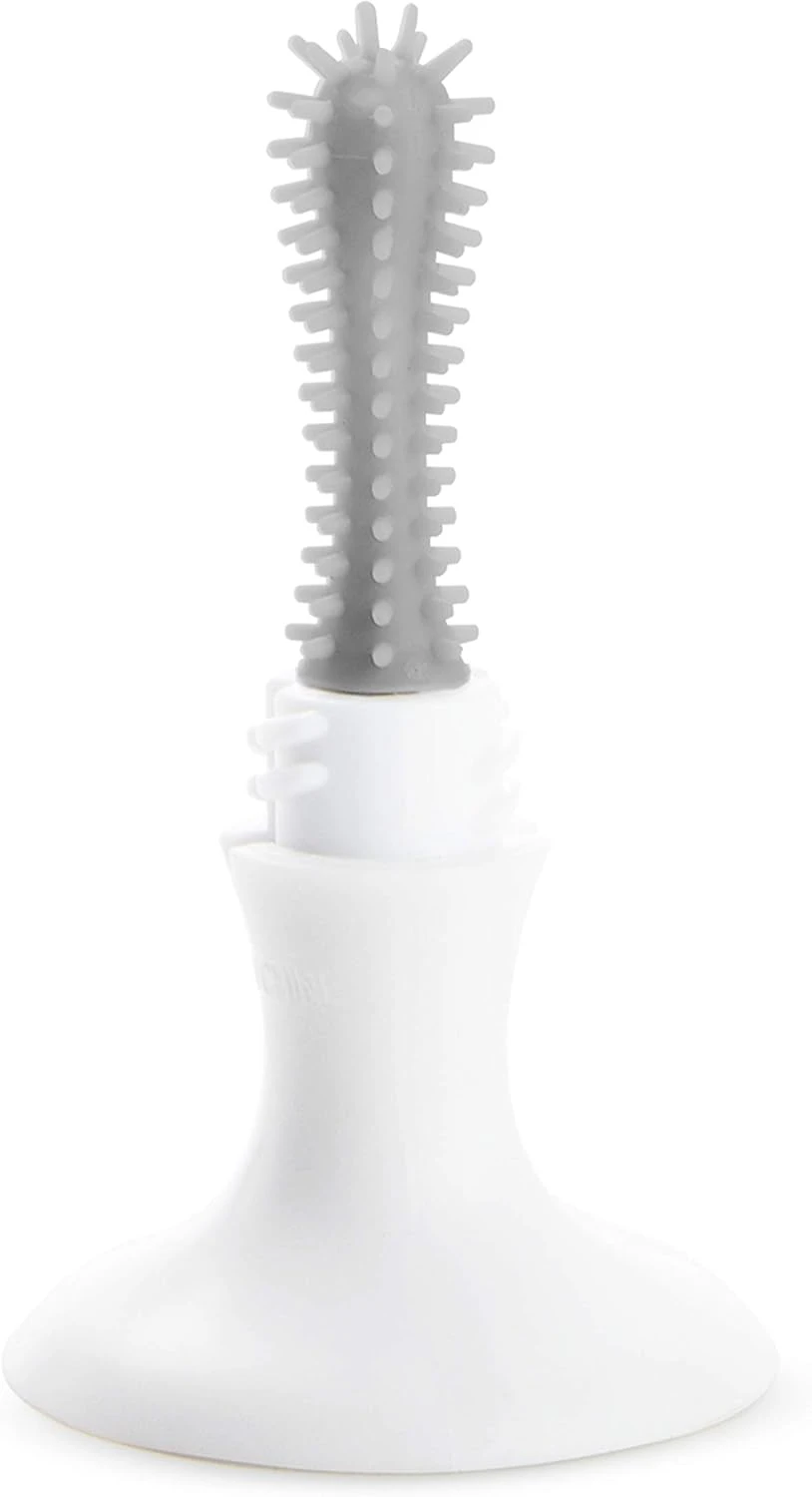 Munchkin Munchkin Bristle Bottle Cleaning Brush – Grey Munchkin Munchkin Bristle Bottle Cleaning Brush – Grey -Push Chair Expert Sales 61O3sufRIwL. AC SL1500