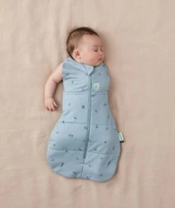 ErgoPouch ErgoPouch Organic Winter Swaddle Sleeping Bag | 2.5 Tog | 3-6 Months - Dragonflies -Push Chair Expert Sales Cocoon 2.5T Dragonflies ArmOut 1688x2000 7805fd1f 56aa 4505 92e4 dc7955a40d28 1