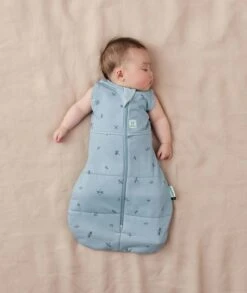 ErgoPouch ErgoPouch Organic Winter Swaddle Sleeping Bag | 2.5 Tog | 3-6 Months - Dragonflies -Push Chair Expert Sales Cocoon 2.5T Dragonflies ArmsOut 1688x2000 1701d627 c24e 4e91 a446 b2660fbd69ee 1